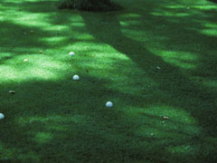 ゴルフ練習場の画像